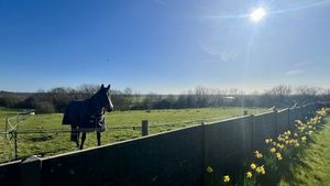 Photo 12- click for photo gallery